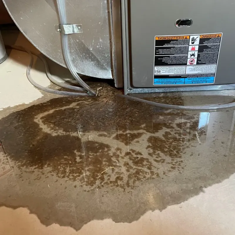 Pipe Burst and Leak Restoration in Salem, MA
